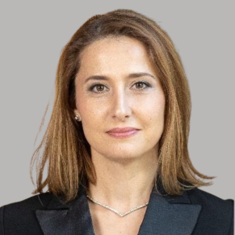Sibel Bahadir, Board Member · Ericsson
